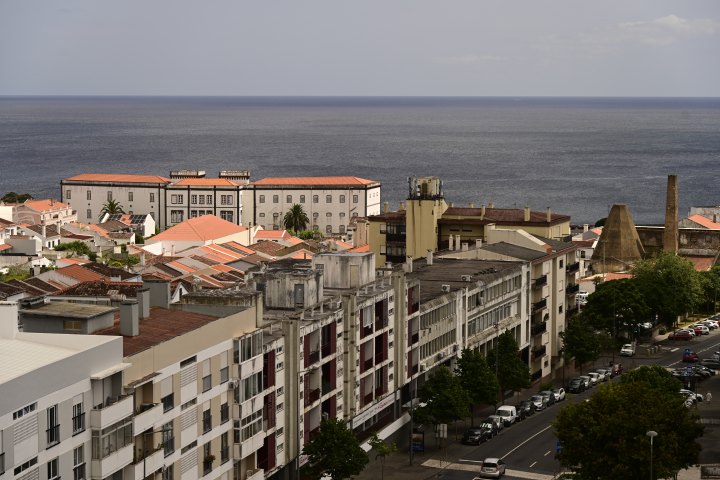_AZO8597.JPG