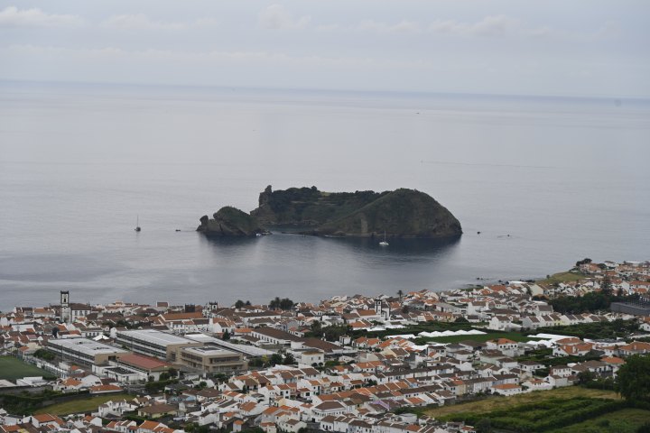 _AZO8686.JPG
